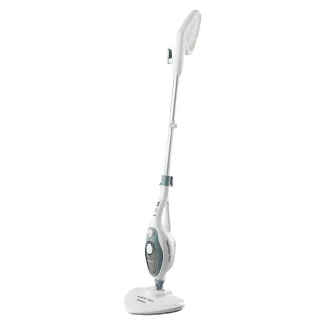 Dampfreiniger
