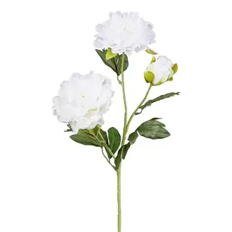 Pianta artificiale Helena