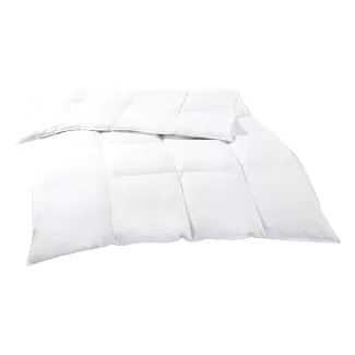 Ganzjahres Federn/Daunen-Duvet