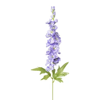 Delphinium Alara