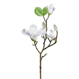 Ramo decorativo di magnolia