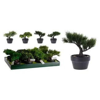 Bonsai-Baum 20cm