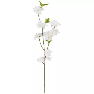 Ramo di ciliegio in fiore