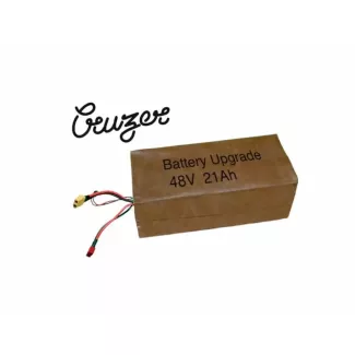 Batterie double RAY 48V - 21Ah