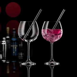 Verres à gin et pailles Set