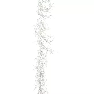 Guirlande d'épines Épines