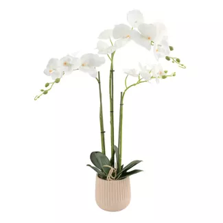 Orchidea fiore artificiale