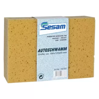 Autoschwamm